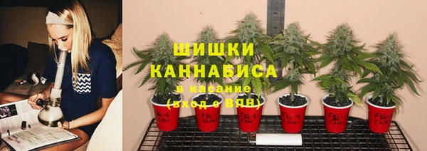спайс Абаза
